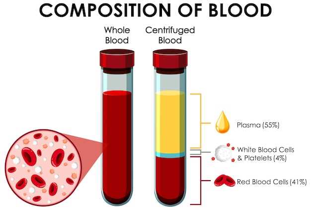 Список групп крови, совместимых с 4 отрицательной группой крови